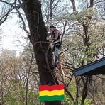 Profile Picture of Brice ChristianNoble Knight (@brice.c.knight1) on Facebook