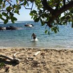 Profile Picture of Daniel Galeano (@danielcgaleano) on Instagram