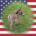Profile Picture of Dee Matthews (@dee.matthews.35574) on Facebook