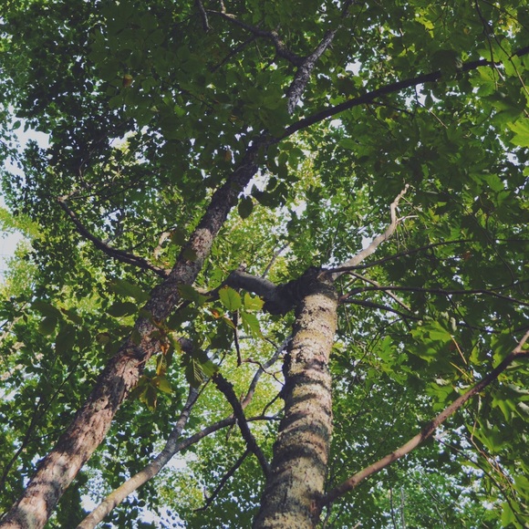 Annika Moberg - Poshmark Profile Picture of Annika Moberg (@annikateal) on Poshmark