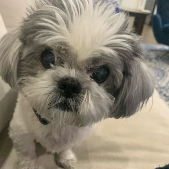 Profile Picture of Amber Winters (@amberwinters414) on Poshmark