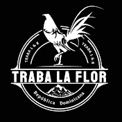 Profile Picture of Luis Cornelio (@luiscornelio2475) on Youtube