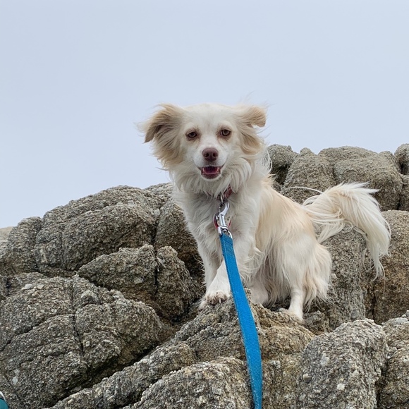 Profile Picture of Gianna Gathman (@giannagathman) on Poshmark