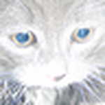 Profile Picture of jeff howes (@shyguy80) on Flickr