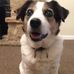 Profile Picture of Ollie Brewer (@ollie.brewer.12) on Facebook
