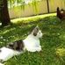 Profile Picture of Marty Minou (@marty.minou) on Facebook