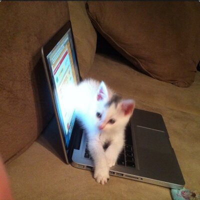 Profile Picture of Mike Cartier (@mike_cartier) on Twitter