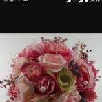 Profile Picture of Janete Martello (@Janete-Martello) on Facebook