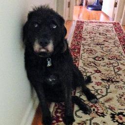 Brian - Twitter Profile Picture of Brian (@brianbrumit) on Twitter