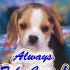 Profile Picture of Cherryl Davis (@cherryl.davis.9) on Facebook