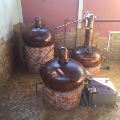 Profile Picture of Sunshine And Josh (@LoveAndBarley) on Twitter