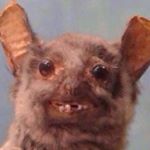 Profile Picture of Aaron Paffenholz (@aaronpaffenholz_) on Instagram