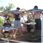 Profile Picture of Jason Gatt (@farmer_gatty) on Instagram