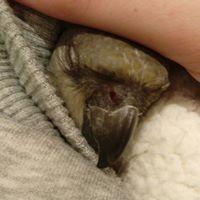 Profile Picture of Irene Cheung (@irene-cheung-20) on Quora