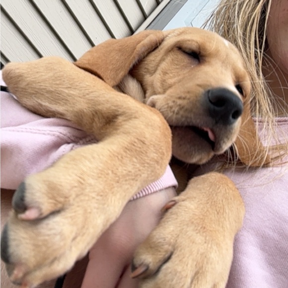 Profile Picture of Gretchen Andersen (@yourfavgretch) on Poshmark