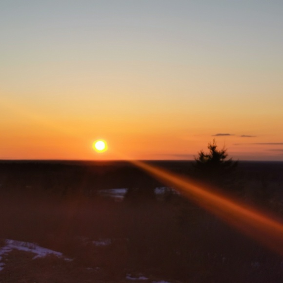 Profile Picture of Isabel White (@izzyw2020) on Poshmark