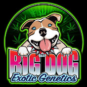 Profile Picture of John Minor (@rootcrazy5432) on Youtube