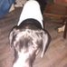 Profile Picture of Jason Graves (@jason.graves.988711) on Facebook