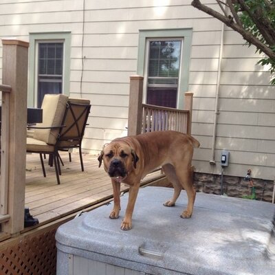 Profile Picture of Joe Bitterman (@BittermanJoe) on Twitter