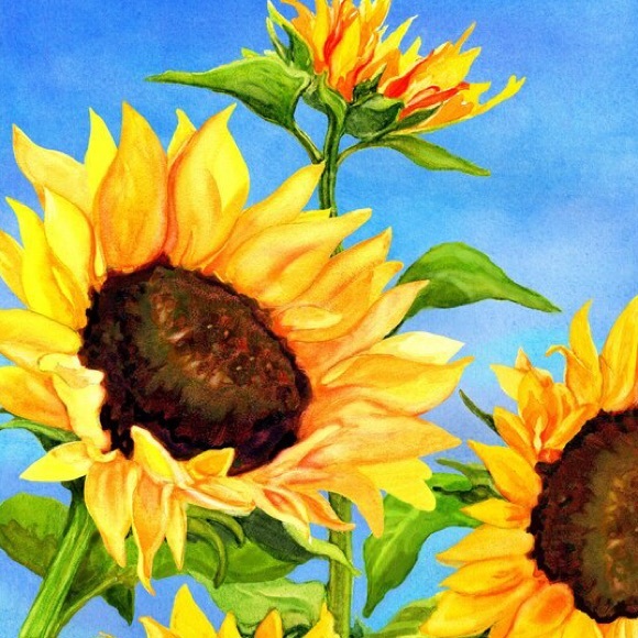 Profile Picture of Erica Ginsburg (@eginny) on Poshmark