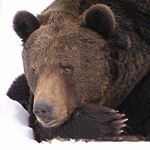 Profile Picture of Павел Головин (@gedeon_999) on Instagram