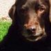 Profile Picture of George Easton (@George-Easton) on Facebook