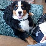 Profile Picture of Christopher Newell (@newell7327) on Instagram