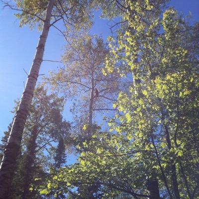 Emily Chapinski - Twitter Profile Picture of Emily Chapinski (@chapinski_e) on Twitter