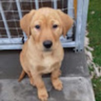 Profile Picture of Frederick Bailey (@frederick-bailey-22) on Quora