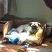 Profile Picture of Loretta Witkowski (@retta1224) on Pinterest