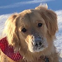 Profile Picture of Jennifer Cramer (@jennifer-cramer-14) on Quora