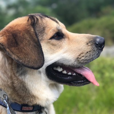 Profile Picture of Jordan Hurd (@Hurd11Jordan) on Twitter