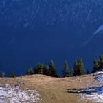 Profile Picture of Sherri_McCarthy (@sherri_mccarthyw) on Instagram