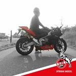 Profile Picture of David Hanser (@david.hanser2) on Instagram