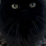 Profile Picture of Julius Holl?nder (@pegelyourass) on Flickr
