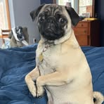 Profile Picture of Dave N Leesa Helbig (@dave.n.leese.helbig) on Facebook