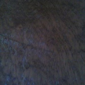 Profile Picture of Mike Whelton (@WheltonMike) on Twitter