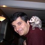 Profile Picture of Paul J Spagnuolo (@pauljspagnuolo) on Instagram