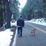 Profile Picture of Joepro (@joeprothro) on Instagram