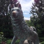 Profile Picture of todd_lindquist (@todd_lindquist) on Instagram