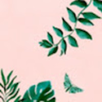 Profile Picture of Fiona Philip (@fiona-philip-13) on Quora
