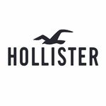 Profile Picture of Hollister at Four Seasons (@fourseasons_hco) on Instagram