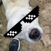 Profile Picture of Andrew.H (@andrew.h23) on Youtube