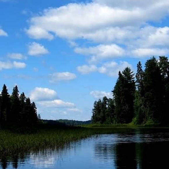 Profile Picture of Fiona Schultz (@fms554) on Poshmark