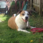 Emily Cranz Richards - Instagram Profile Picture of Emily Cranz Richards (@omniemily) on Instagram