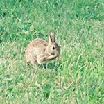Profile Picture of Tracey Jo Whitmore (@mswhitmore2002) on Instagram