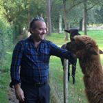 Profile Picture of Brian Daly (@briangdaly) on Instagram