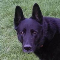 Joseph Lewicki - Quora Profile Picture of Joseph Lewicki (@joseph-lewicki-2) on Quora