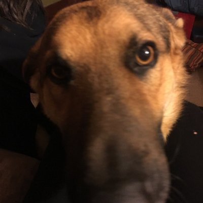 Marlene Tabor - Twitter Profile Picture of Marlene Tabor (@Marlene777) on Twitter