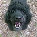 Profile Picture of Bob McClure (@bobmcclure123) on Pinterest